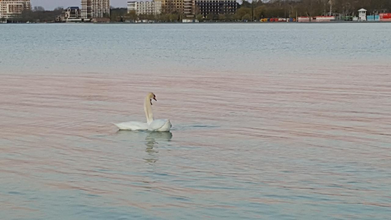 Balaton&Center Wellness Apartman Siófok Zewnętrze zdjęcie